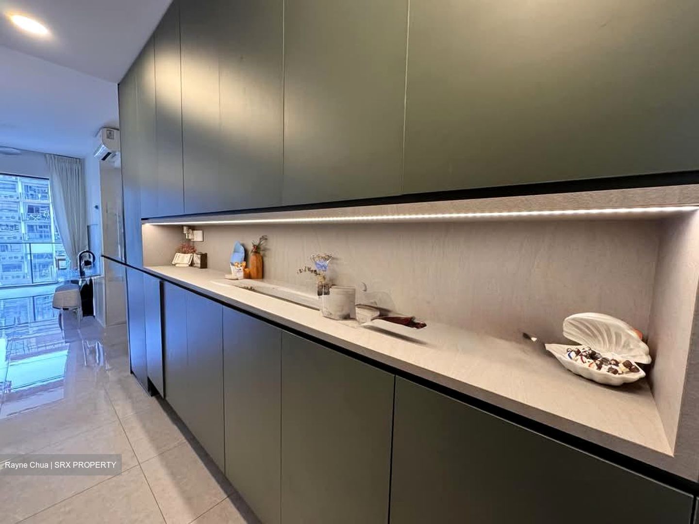 Parc Clematis (D5), Apartment #544130791